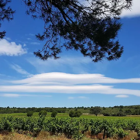 Lägenhet Les Pins By Interhome Narbonne-Plage